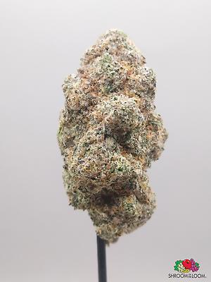 Jungle Cake