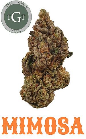 MIMOSA *PREMIUM*