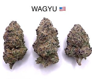 WAGYU