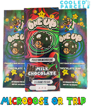 Mushroom Chocolate
