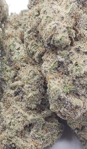 MAC 1 (HYBRID)