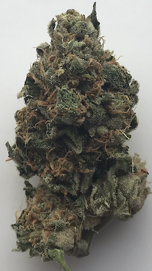 Pink alien