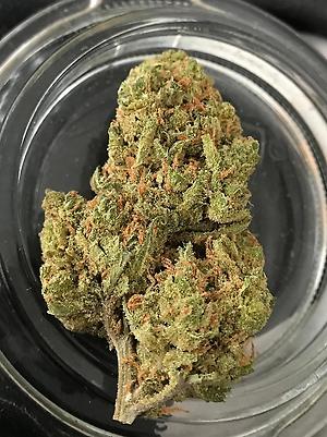 Ammy haze