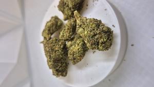 GMO Zkittlez