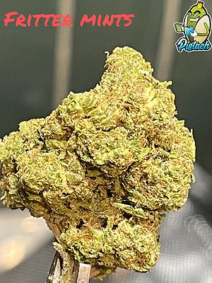 Fritter Mints