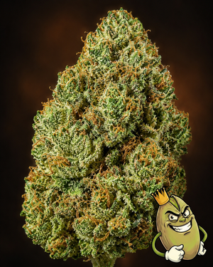 TIRAMISU - TOPSHELF £140 AN OUNCE
