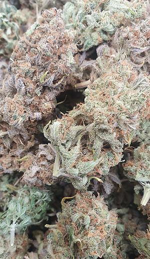 Slurricane