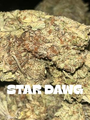Stardawg