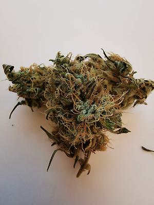 Lemon Haze