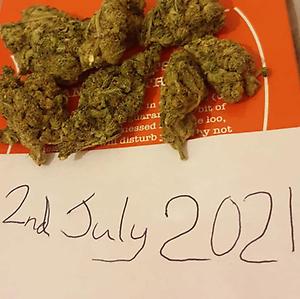Green Crack