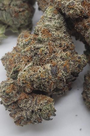 Oreoz (INDICA DOM)