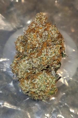 Stardawg