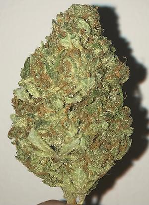 Super lemon haze