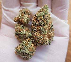 **GREEN POISON**