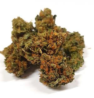 Critical Kush
