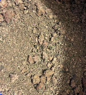 Top quality shake - see description for flavours.