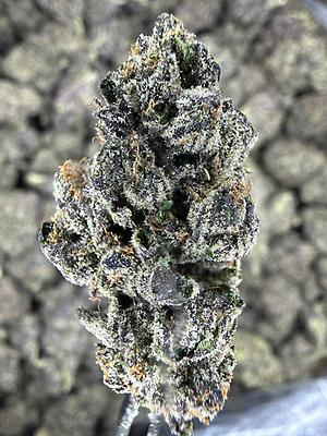 White Runtz - Cali Top Shelf