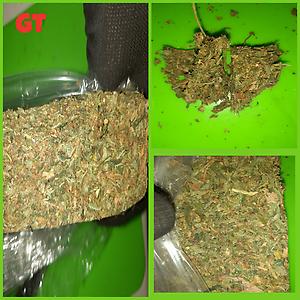 Jamaican Chocolate