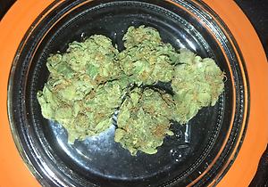 OG KUSH