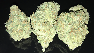 AMNESIA HAZE