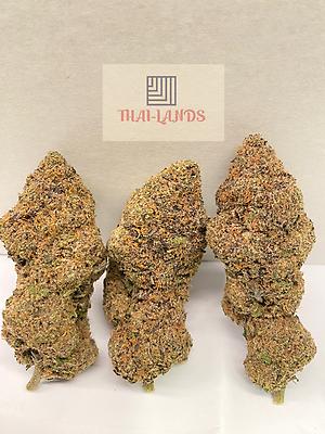 BOOFSCOTTI SUPERBOOF X BISCOTTI