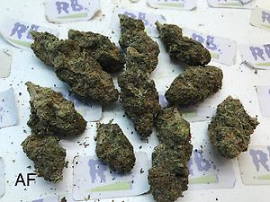 AFGHANI GRADE B