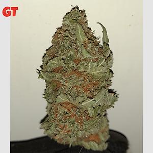 Strawberry Kush
