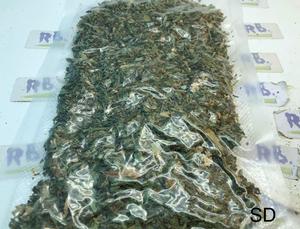 Stardawg Shake/Dust
