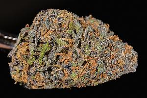 28g AAA+ Organic Pro Grown Marijuana