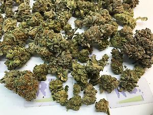 MIX BUCKET GRADE B