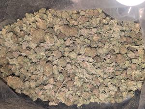 Bargain clear out