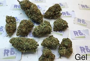 BLUE GELATO