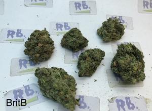 Britscotti Grade B