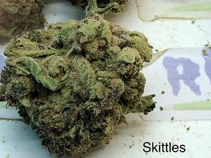 ZKITTLEZ