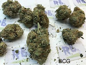BLACK CHERRY GELATO