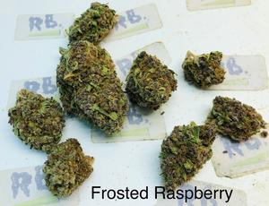 420 Bundle