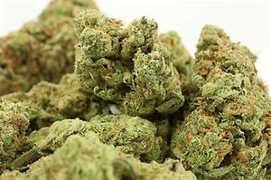 ALIEN OG A++