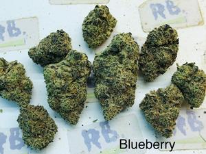 Cali Mids SPECIALS
