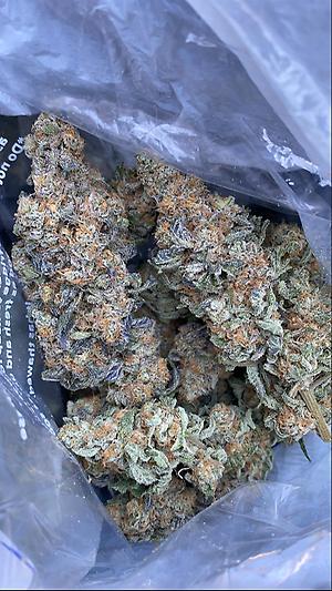 Gelato 41
