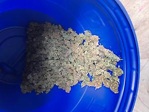 Ounces for edibles