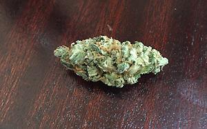 GRAPEFRUIT HAZE B+ GRADE