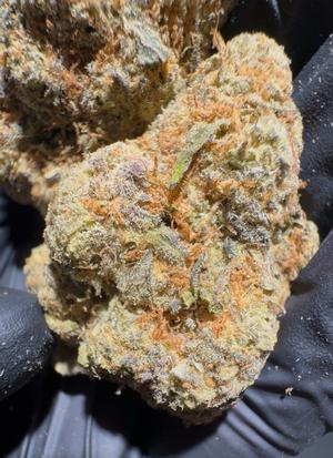 BARGAIN BUDS