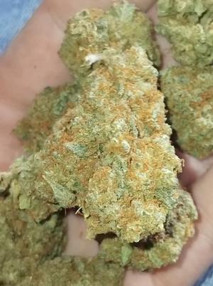WHITE WIDOW [UK]