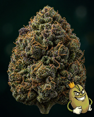 WHIPLASH PREMIUM TOP SHELF EXOTIC - £260 AN OUNCE