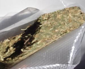 Jamaican Sensi