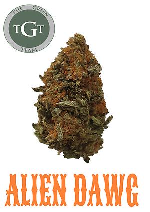 ALIEN DAWG