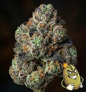 GAS ATTACK - TOPSHELF £140 A Z