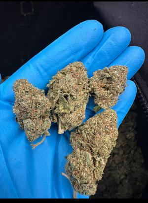 Blue Sunset Sherbet