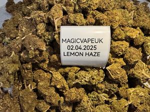 UK BUDS