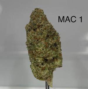 UK FLOWER
